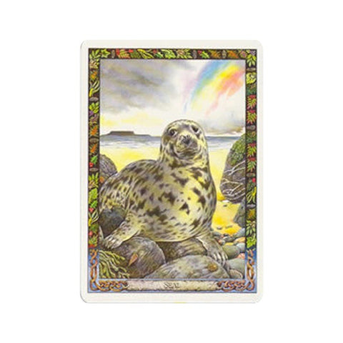 Orange Hippo: The Druid Animal Oracle Cards and Book set - HOBI.LT 🇱🇹