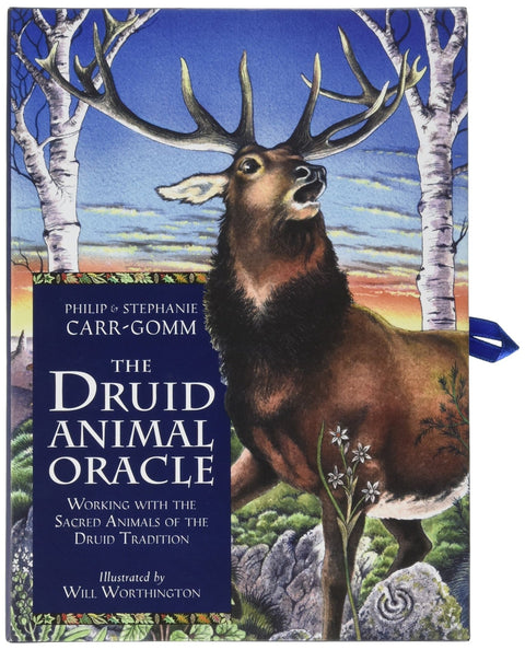 Orange Hippo: The Druid Animal Oracle Cards and Book set - HOBI.LT 🇱🇹