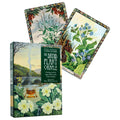 Welbeck Publishing: The Druid Plant Oracle Kortos - HOBI.LT 🇱🇹