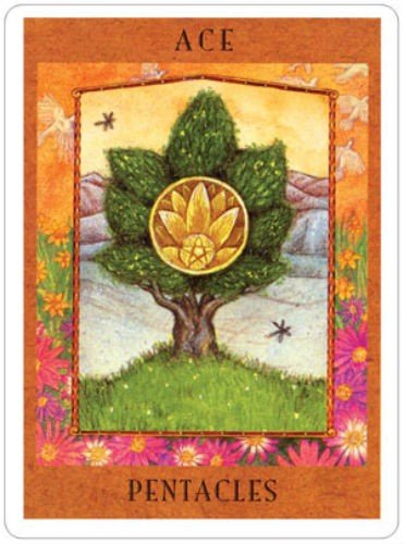 US Games Systems: The Goddess Tarot kortos ir knyga - HOBI.LT 🇱🇹
