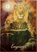 Tarot korta Imperatorius – auksinė iliustracija su liūto galva, ornamentuotu juodu apsiaustu ir sosto motyvais