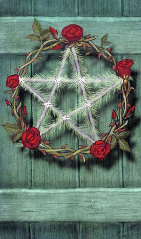 Llewellyn: The Green Witch Tarot Kortos - HOBI.LT 🇱🇹