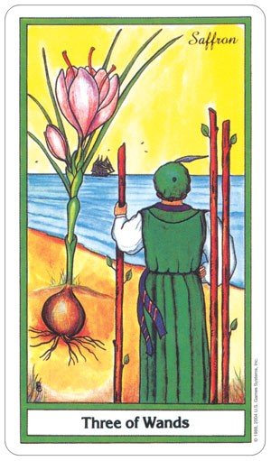 US Games Systems: The Herbal Tarot kortos - HOBI.LT 🇱🇹