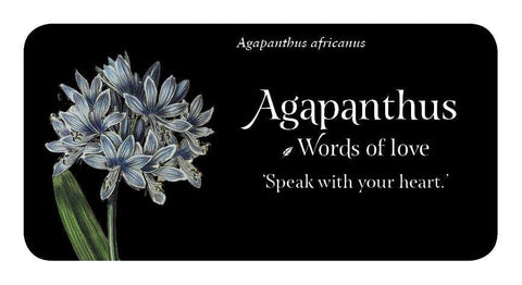 Rockpool: The Language of Flowers Inspiration kortos - HOBI.LT 🇱🇹