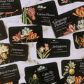 Rockpool: The Language of Flowers Inspiration kortos - HOBI.LT 🇱🇹