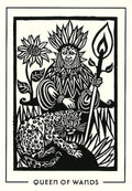 Destiny books: The Light And Shadow Tarot kortos - HOBI.LT 🇱🇹