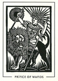 Destiny books: The Light And Shadow Tarot kortos - HOBI.LT 🇱🇹