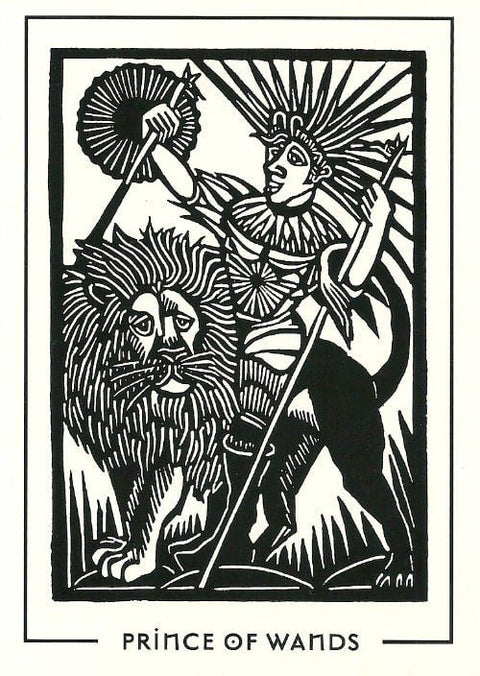 Destiny books: The Light And Shadow Tarot kortos - HOBI.LT 🇱🇹
