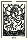 Destiny books: The Light And Shadow Tarot kortos - HOBI.LT 🇱🇹