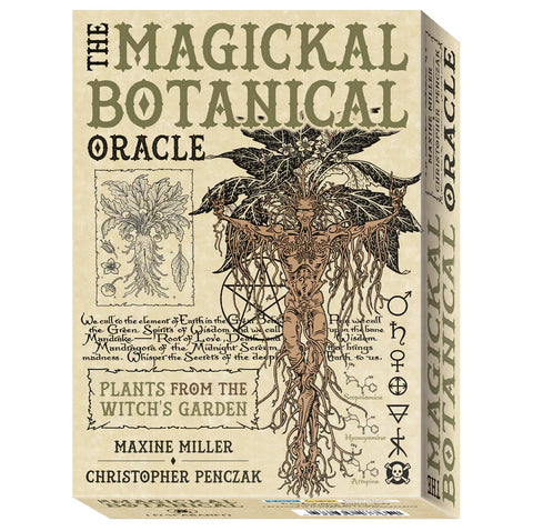 Orakulo kortos dėžutė "Magickal Botanical" su mandragoros iliustracija ir senovinio stiliaus kremine pakuote