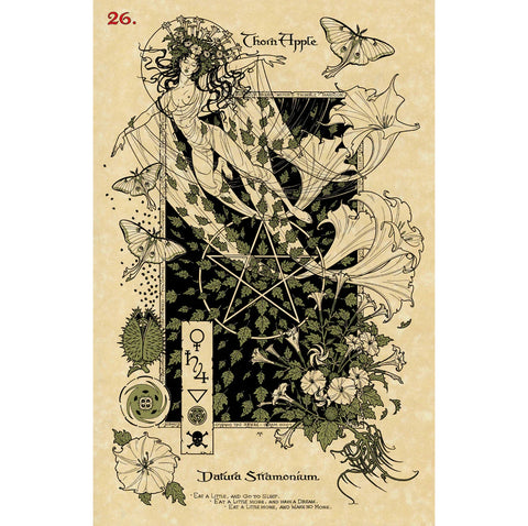 The Magickal Botanical Oracle kortos