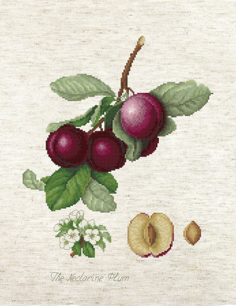 Luca - s: The Nectarine Plum SBA22480 - siuvinėjimo kryželiu rinkinys - HOBI.LT 🇱🇹