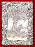 Animal Dreaming: The Oracle Of The Innocent Heart kortos - HOBI.LT 🇱🇹