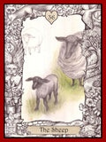 Animal Dreaming: The Oracle Of The Innocent Heart kortos - HOBI.LT 🇱🇹