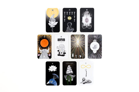 Harper One: The Sacred Web Tarot kortos Harper One - HOBI.LT 🇱🇹