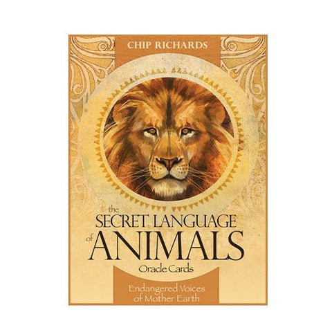 Blue Angel: The Secret Language of Animals Oracle kortos - HOBI.LT 🇱🇹