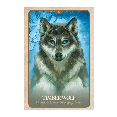 Orakulų korta Timber Wolf su sodriu melsvu fonu ir žydromis akimis vilko iliustracijoje, kortos priekinė pusė