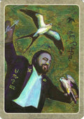 Schiffer: The Secret Language of Birds Tarot Kortos - HOBI.LT 🇱🇹