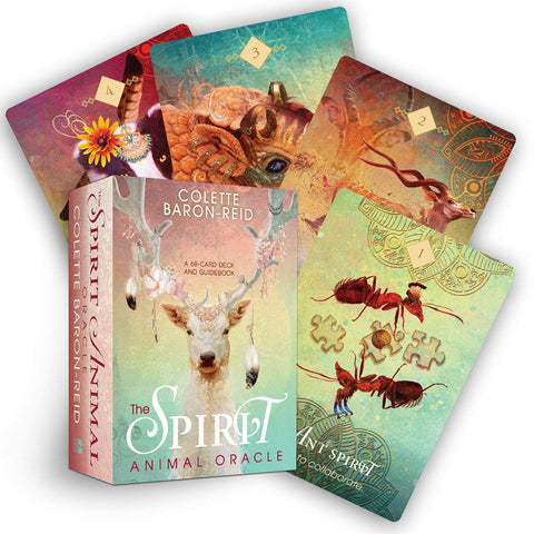 Spirit Animal Oracle kortos: Colette Baron‑Reid 68 kortų ir vadovo rinkinys su pasteliniu dėklu ir fanuotais iliustruotais gyvūnų kortomis