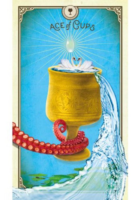 Hay House: The Tarot of Curious Creatures kortos Hay House - HOBI.LT 🇱🇹