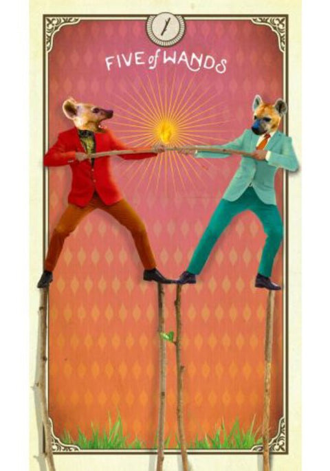 Hay House: The Tarot of Curious Creatures kortos Hay House - HOBI.LT 🇱🇹