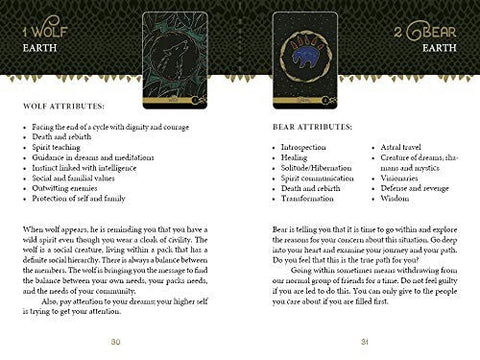 The Wild Elemental Oracle kortos