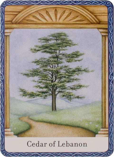 Watkins Publishing: The Wisdom Of Trees Oracle kortos - HOBI.LT 🇱🇹