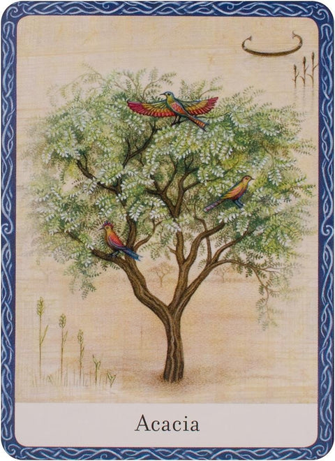Watkins Publishing: The Wisdom Of Trees Oracle kortos - HOBI.LT 🇱🇹