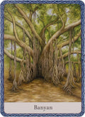 Watkins Publishing: The Wisdom Of Trees Oracle kortos - HOBI.LT 🇱🇹