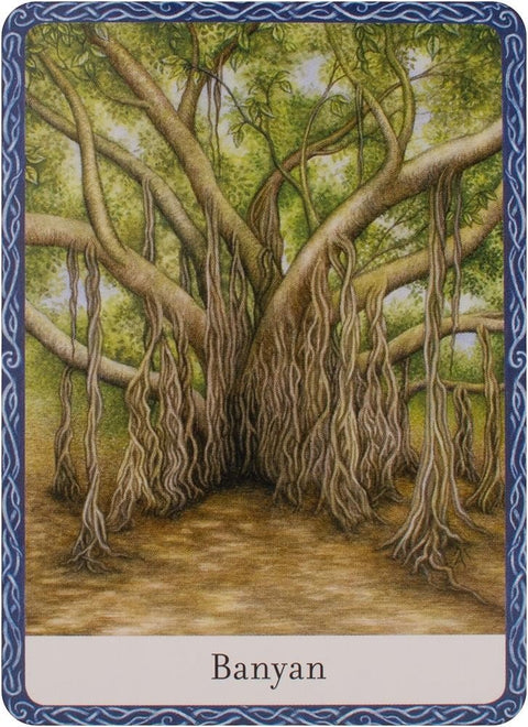 Watkins Publishing: The Wisdom Of Trees Oracle kortos - HOBI.LT 🇱🇹