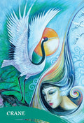 Blue Angel: The Zen Of Animals Oracle kortos - HOBI.LT 🇱🇹