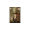 Lo Scarabeo: Thelema Lenormand kortos - HOBI.LT 🇱🇹