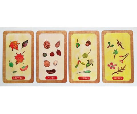 Tree of Life Oracle kortos