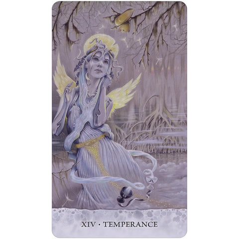 Tarot of Tides taro kortos su vadovu apie ančiuko kelionę
