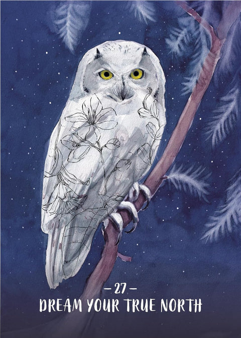 Orakulo kortos Sisterhood of the Seers – 44 kortos, Hay House, intuicijai