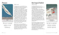 Cico Books: Unusual Animal Messages Oracle kortos - HOBI.LT 🇱🇹