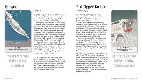 Cico Books: Unusual Animal Messages Oracle kortos - HOBI.LT 🇱🇹