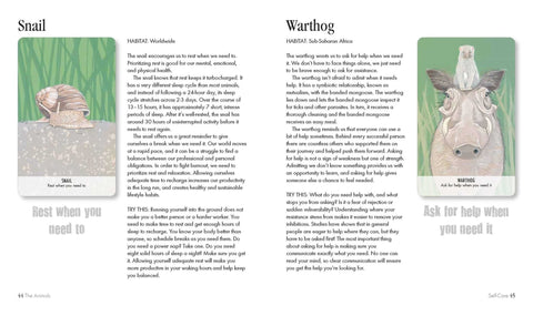 Cico Books: Unusual Animal Messages Oracle kortos - HOBI.LT 🇱🇹