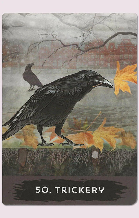 Hay House: Urban Crow Oracle kortos Hay House - HOBI.LT 🇱🇹