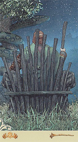 tarot korta – už nugaros sėdintis žmogus prie medinių lazdų tvoros, gyvatė virš galvos ir žvaigždėtas nakties dangus