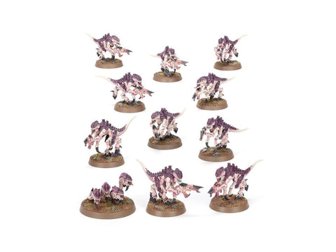 Warhammer 40,000 Įvadinis rinkinys 40-04 – Space Marines ir Tyranidai