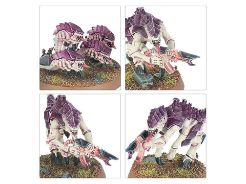 Warhammer 40,000 Įvadinis rinkinys 40-04 – Space Marines ir Tyranidai