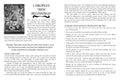 Findhorn Press: Water Alchemy Oracle kortos Findhorn Press - HOBI.LT 🇱🇹