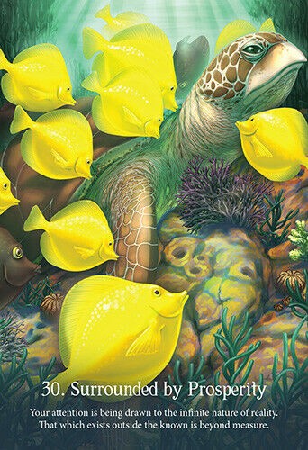 Tarot korta 30 „Surrounded by Prosperity“ — priekinė pusė su vėžliu ir geltonomis žuvimis, ryškūs ir detalūs motyvai