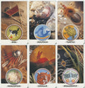 Welbeck Publishing: White Eagle Medicine Wheel kortos - HOBI.LT 🇱🇹