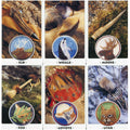 Welbeck Publishing: White Eagle Medicine Wheel kortos - HOBI.LT 🇱🇹