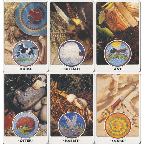 Welbeck Publishing: White Eagle Medicine Wheel kortos - HOBI.LT 🇱🇹