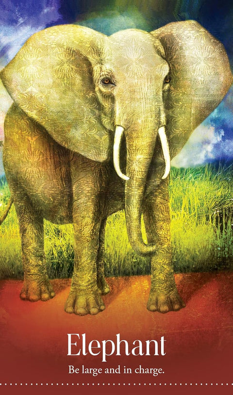 Plakatas „Elephant“ – geltonai auksinis elefantas ant raudonos apačios, 50×80 cm vertikalus meno printas, drąsus dekoratyvinis akcentas