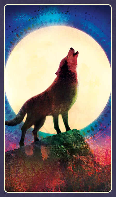 Blue Angel: Wild Dreams Animal Oracle Kortos Blue Angel - HOBI.LT 🇱🇹
