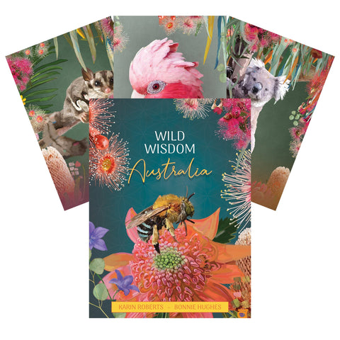 Blue Angel: Wild Wisdom Australia Oracle kortos - HOBI.LT 🇱🇹